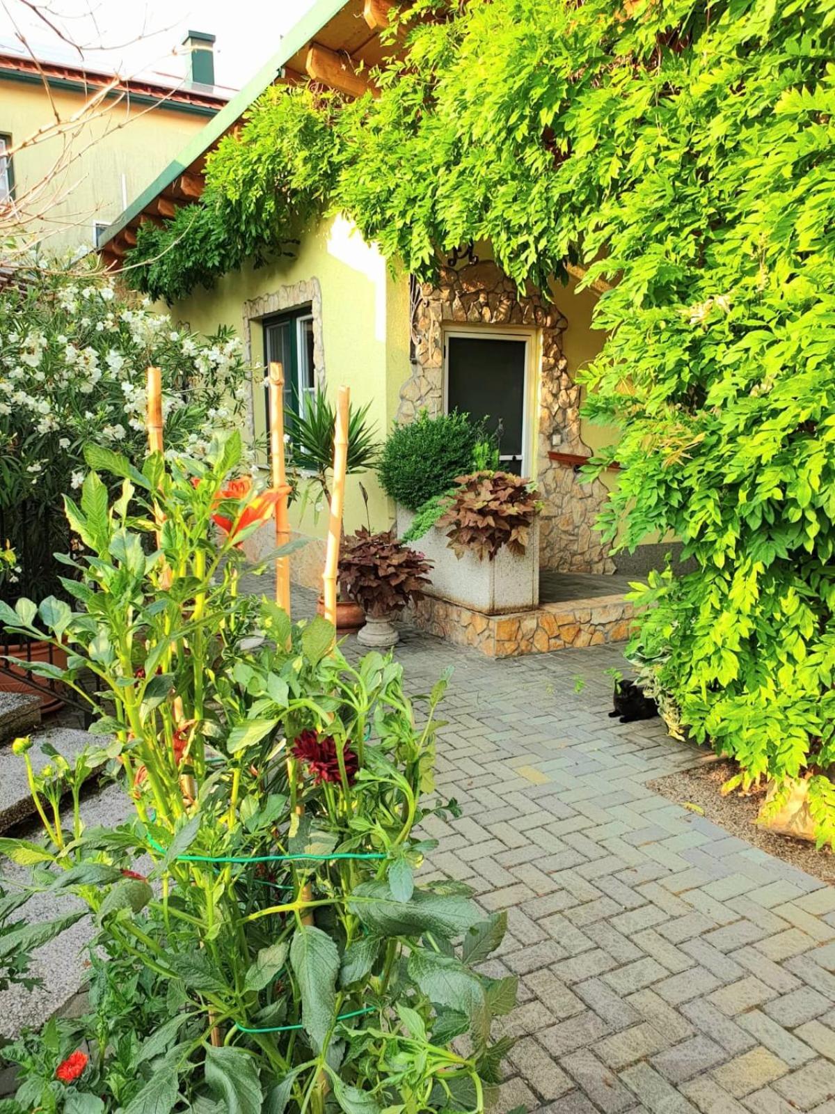Ferienwohnung Koppi Pamhagen Exterior foto